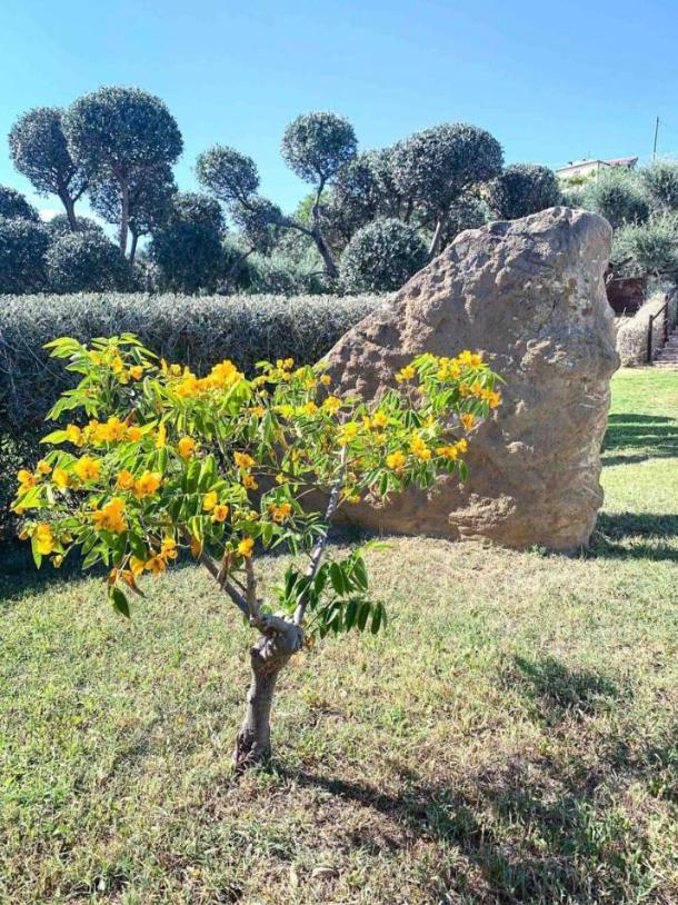 Thevilla Holiday Silvi Marina Dış mekan fotoğraf